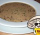 Cream of Mushroom Soup #funguy
