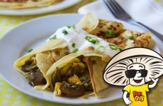 FunGuy Green Onion Breakfast Crepes