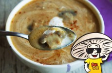 Hungarian FunGuy MushroomSoup