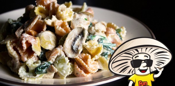 FunGuy Creamy Chicken Spinach Sorprese