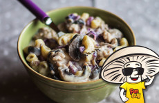 FunGuy Mushrooms Mac and Cheese with Beefy Beer and Cabbage
