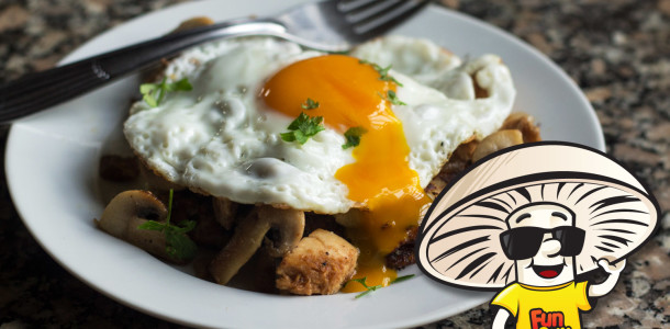 FunGuy’s Leftover Thanksgiving Breakfast