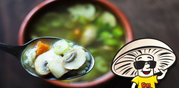 FunGuy Mushrooms Vegetable Rice Soup