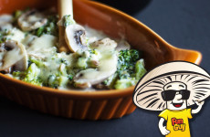 FunGuy Mushrooms Broccoli and Cheese Dip