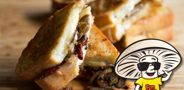 FunGuy Sundried Tomato and Onion Grilled Cheese
