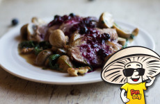 FunGuy’s Seared Duck Breast with Blueberry Chutney
