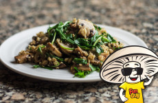 Butter Sauteed FunGuy Mushrooms, Barley, and Arugula