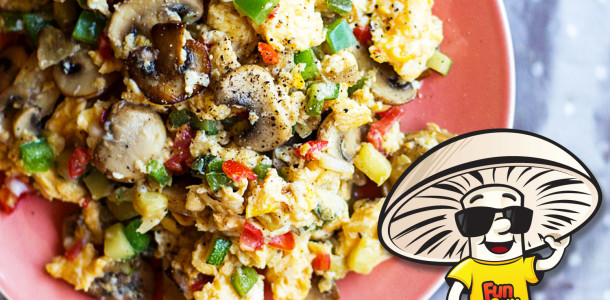 FunGuy Summer Scramble