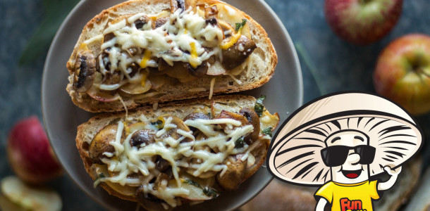 FunGuy Taste of Autumn Toast