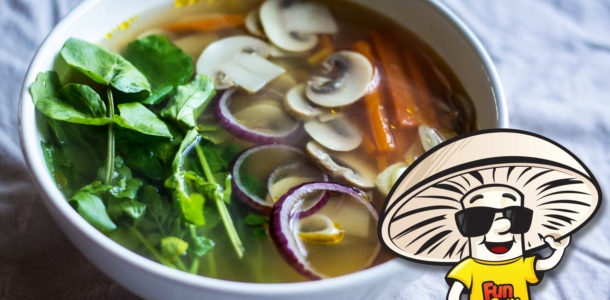 FunGuy Clean Vegetable Soup