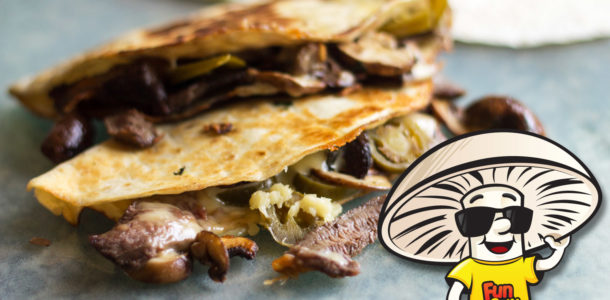 FunGuy’s Grilled Steak and Jalapeño Quesadillas