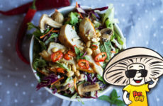 FunGuy's Crunchy Thai Chicken Salad