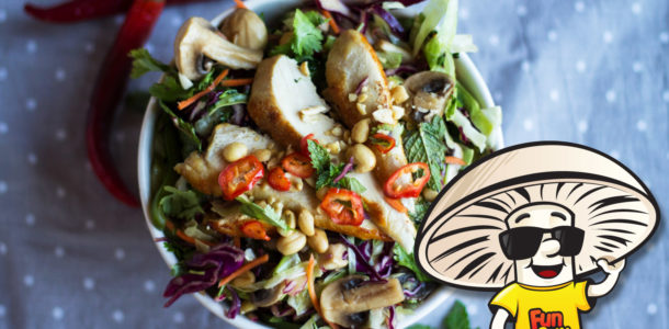 FunGuy's Crunchy Thai Chicken Salad