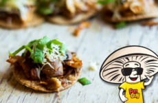 FunGuy's Shredded Chicken One Bite Tostadas