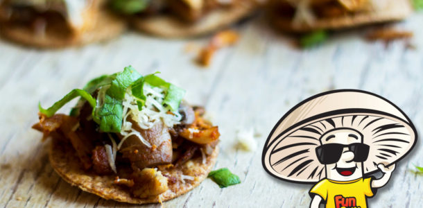 FunGuy's Shredded Chicken One Bite Tostadas