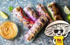 FunGuy Spring Rolls with Peanut Sauce