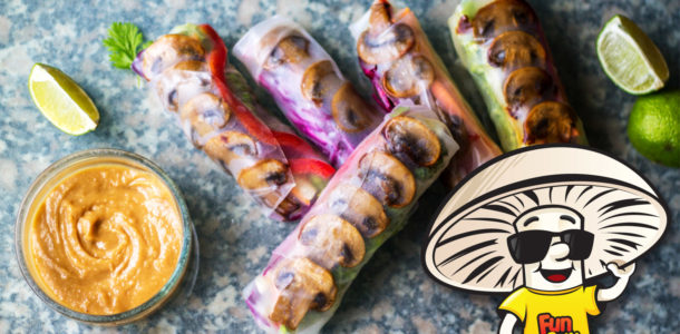 FunGuy Spring Rolls with Peanut Sauce