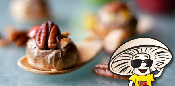 Cheddar Apple Pie Pecan FunGuy Stuffers