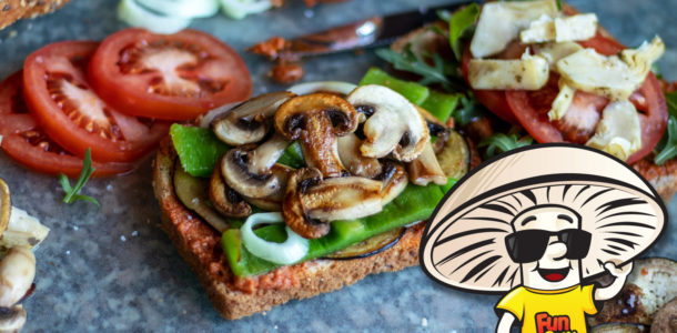 The Ultimate Vegan FunGuy Sandwich