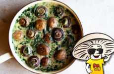 FunGuy Mushrooms and Spinach in Bechamel Sauce
