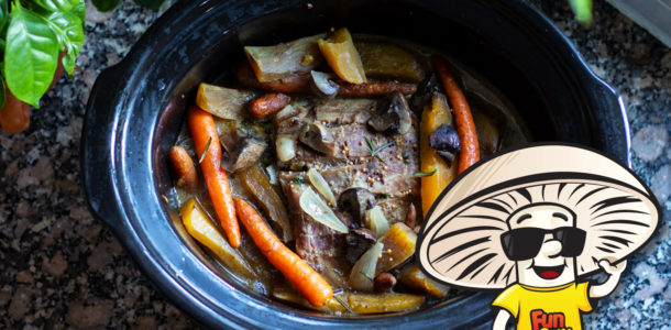 FunGuy's Crock-Pot Honey Mustard Pork Loin
