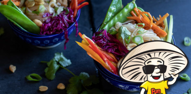 FunGuy’s Warm Rainbow Vegetable and Rice Noodle Salad