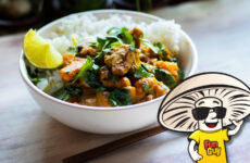 FunGuy’s Pumpkin Coconut Chickpea Curry with Rice