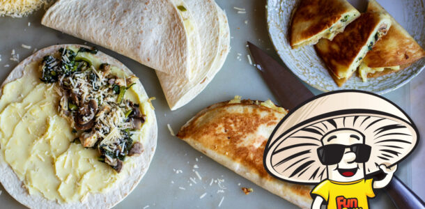 FunGuy's Thanksgiving Leftovers Quesadillas