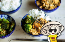 FunGuy's Teriyaki Chicken and Mushrooms with Sauteed Broccoli