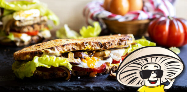 FunGuy’s MmmELT Sandwich