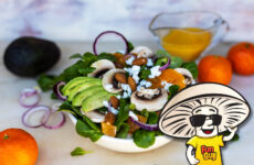 FunGuy's Clementine Avocado and Mache Salad