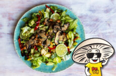 FunGuy's Vegan Thai Seared Portobello “Steak” Salad