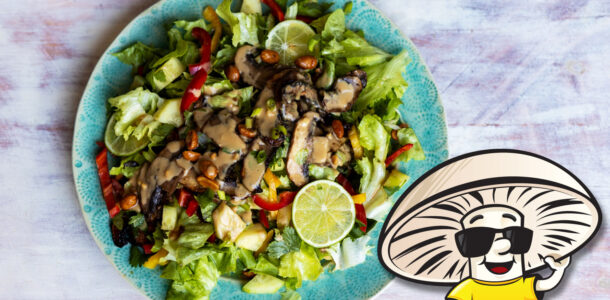FunGuy's Vegan Thai Seared Portobello “Steak” Salad