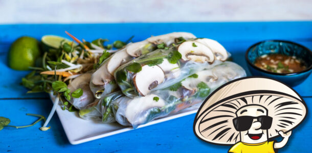 FunGuy Summer Rolls and Asian Dipping Sauce