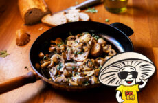 FunGuy’s Mushrooms with White Wine and Fried Garlic