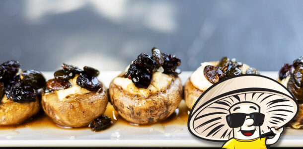 Cranberry and Pepita FunGuy Stuffers