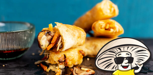 FunGuy’s Baked Vegan Egg Rolls