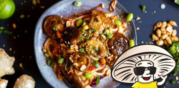 FunGuy's Portobello Mushrooms and Cucumber Tomato Salad