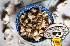 FunGuy's Creamy Oyster Mushroom and Chicken Pasta Salad