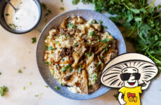FunGuy's Creamy Caramelized Onion Oyster Mushroom Fried Rice