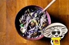 FunGuy’s Spaghetti and Shredded Red Cabbage