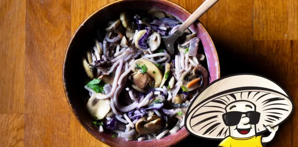 FunGuy’s Spaghetti and Shredded Red Cabbage