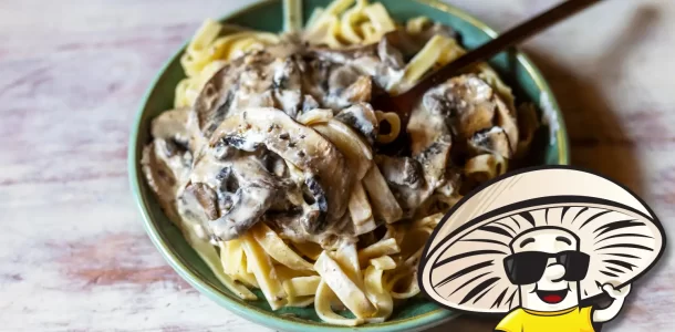 FunGuy’s Portobello Mushroom Stroganoff